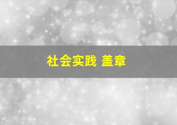 社会实践 盖章